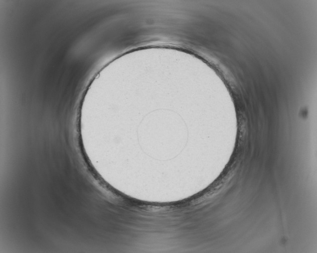 X0000116581375201001211255
