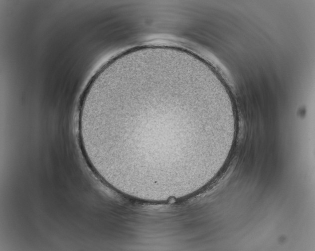 X0000116581376201001211255