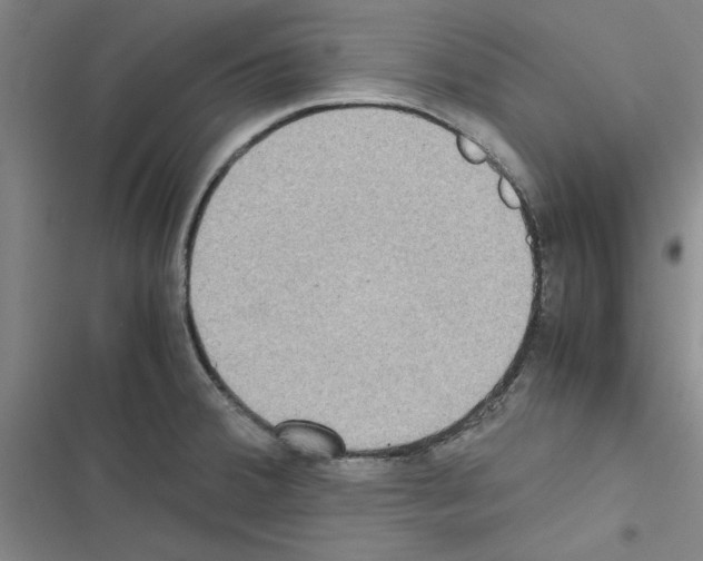 X0000116581380201001211255