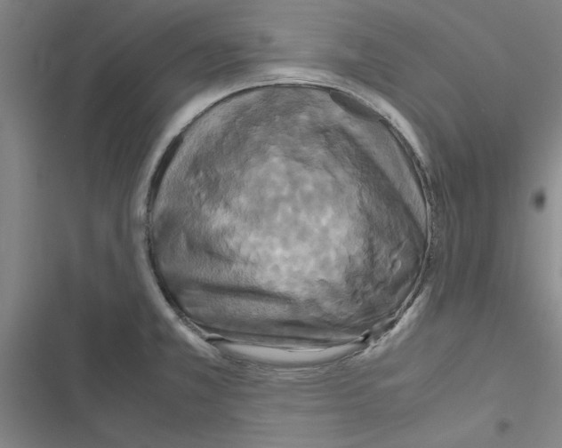 X0000116581381201001211255