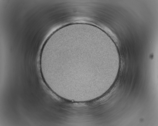 X0000116581384201001211255