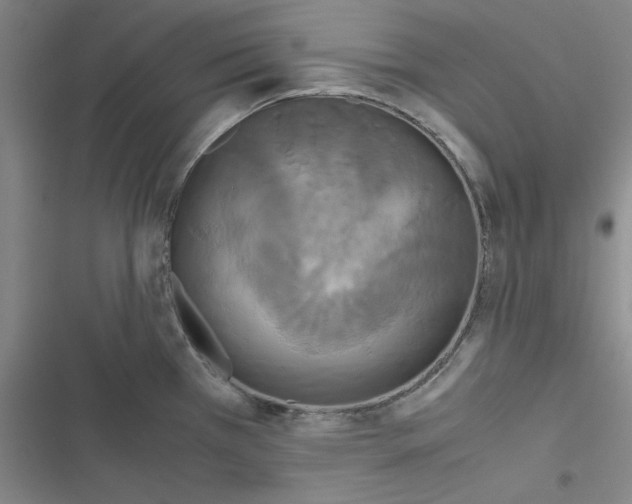 X0000116581385201001211255