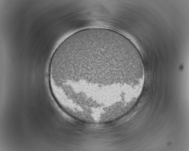 X0000116581387201001211255