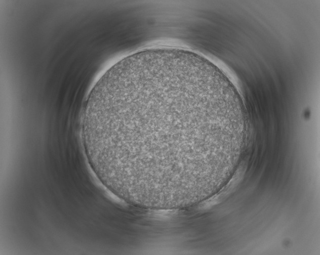 X0000116581390201001211255