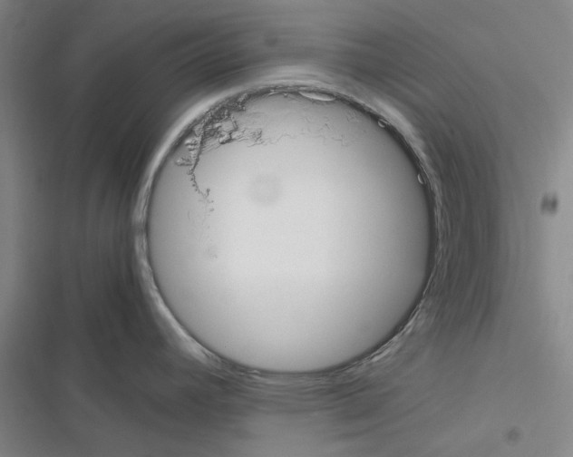X0000116581392201001211255