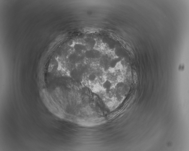 X0000116581393201001211255