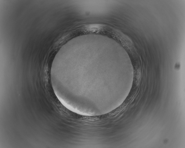 X0000116581394201001211255
