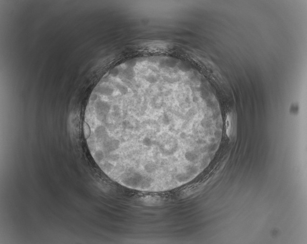 X0000116581395201001211255