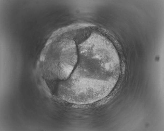 X0000116581397201001211255