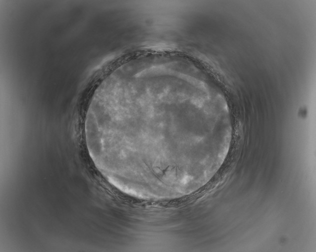 X0000116581398201001211255