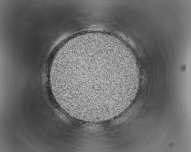 X0000116581400201001211255