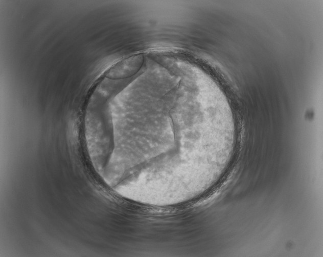 X0000116581401201001211255