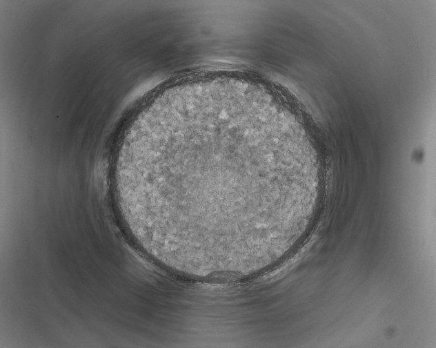 X0000116581402201001211255