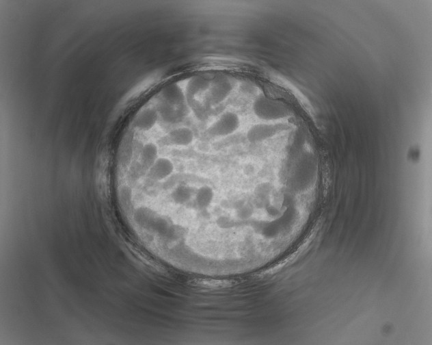 X0000116581403201001211255