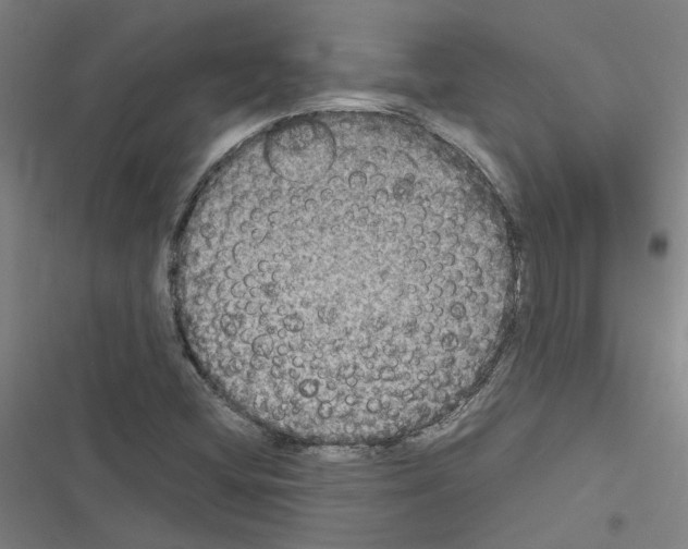 X0000116581404201001211255