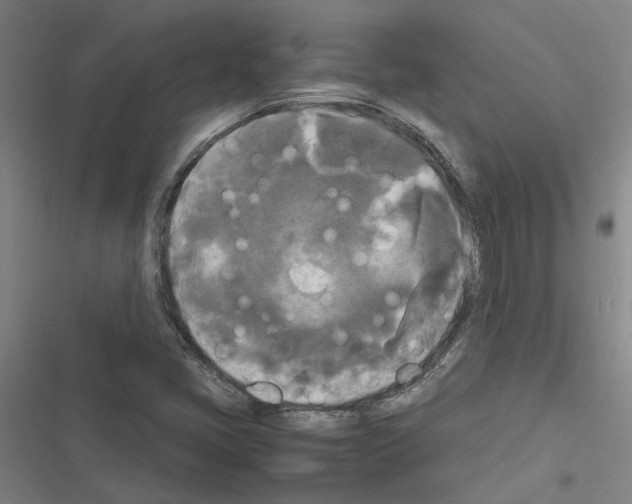 X0000116581405201001211255