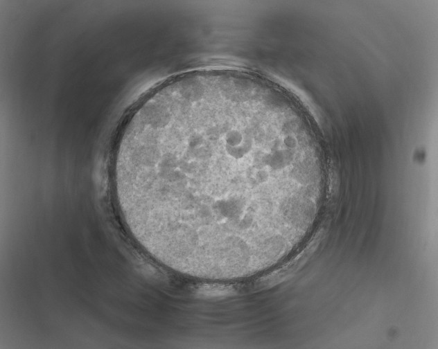X0000116581407201001211255
