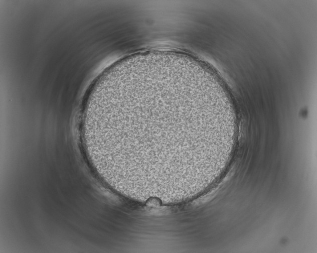 X0000116581410201001211255