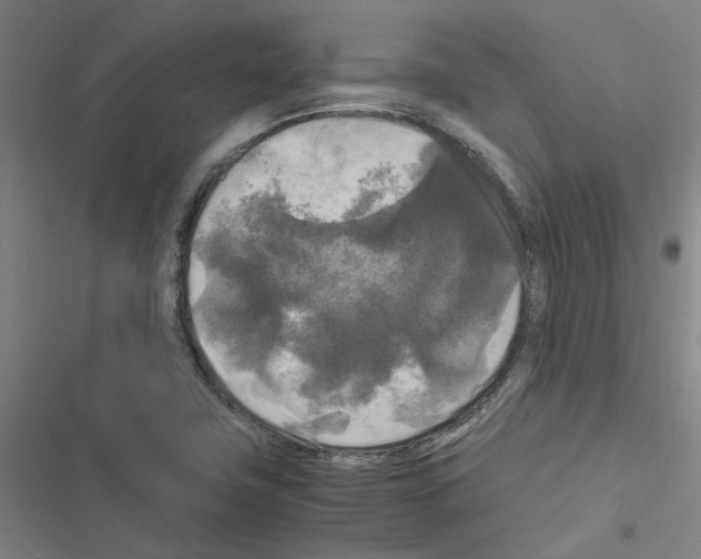 X0000116581411201001211255