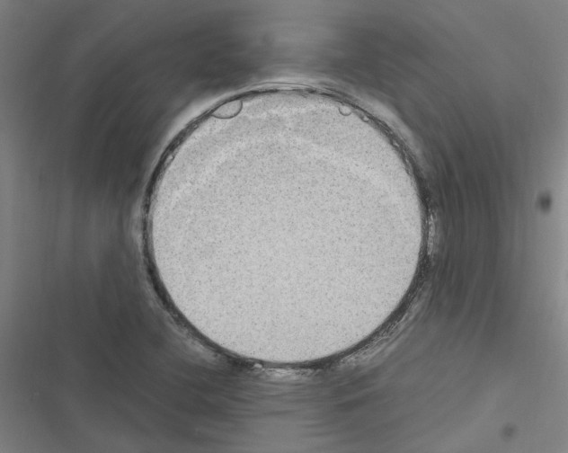 X0000116581412201001211255