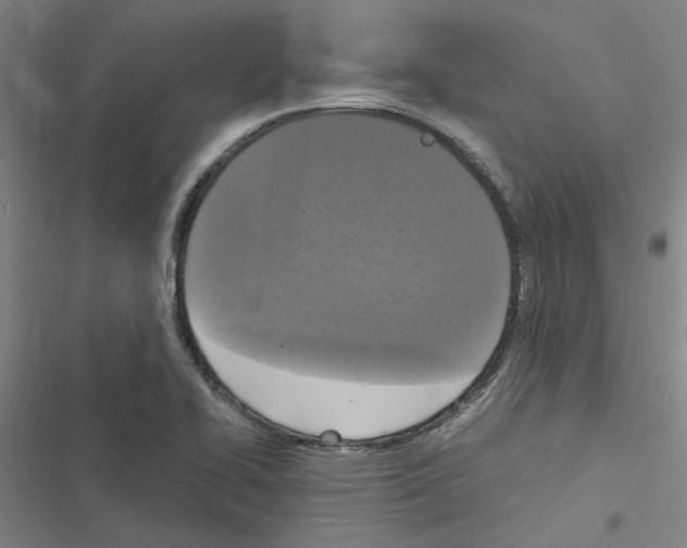 X0000116581414201001211255