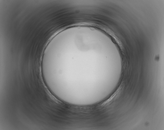 X0000116581417201001211255