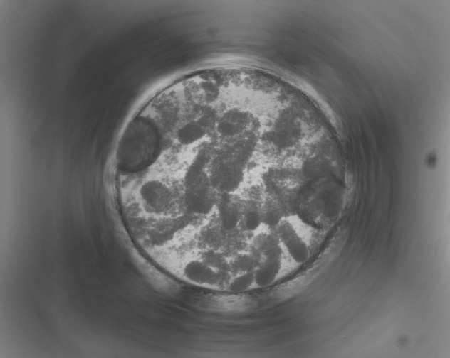 X0000116581421201001211255