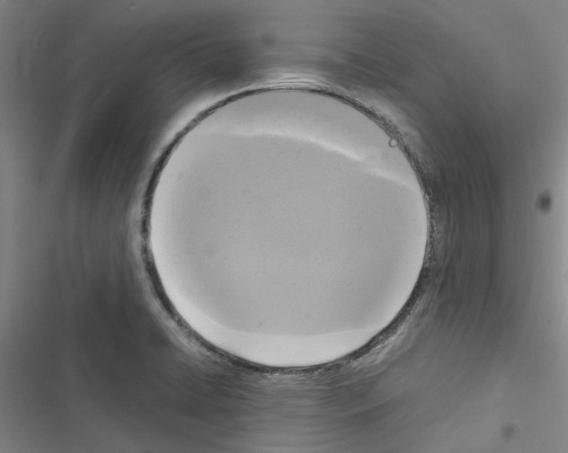 X0000116581422201001211255