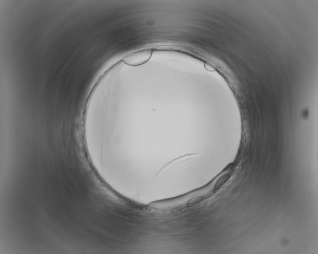 X0000116581428201001211255