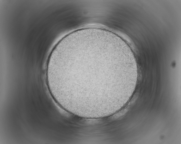 X0000116581430201001211255