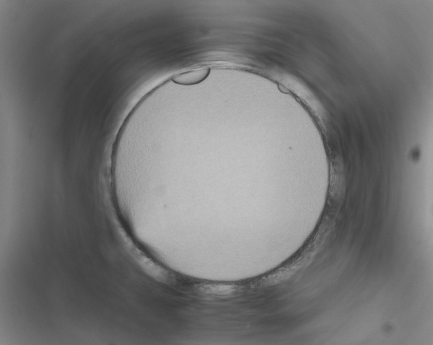 X0000116581431201001211255