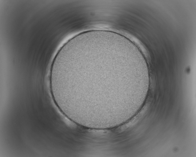 X0000116581432201001211255
