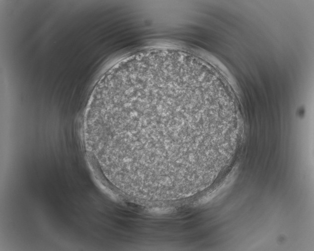 X0000116581433201001211255