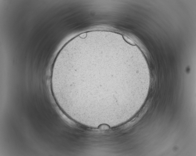 X0000116581438201001211255