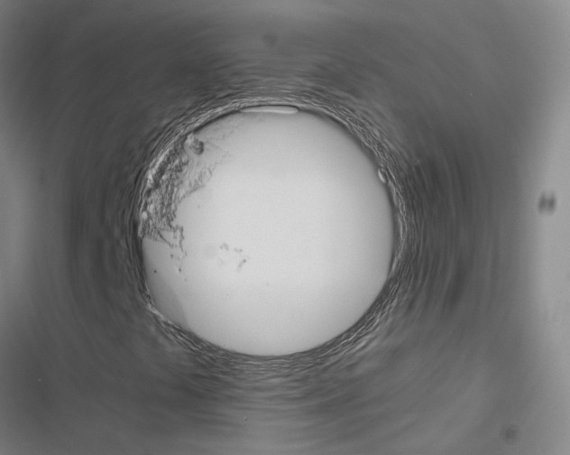 X0000116581441201001211255