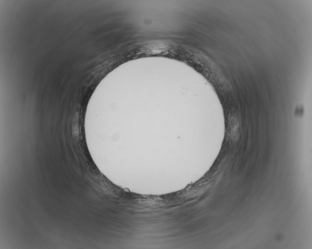 X0000116581442201001211255