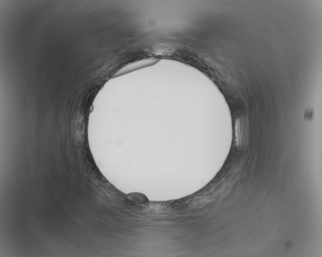 X0000116581443201001211255