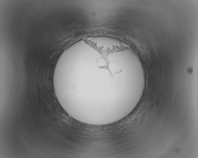 X0000116581444201001211255