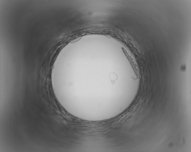 X0000116581445201001211255