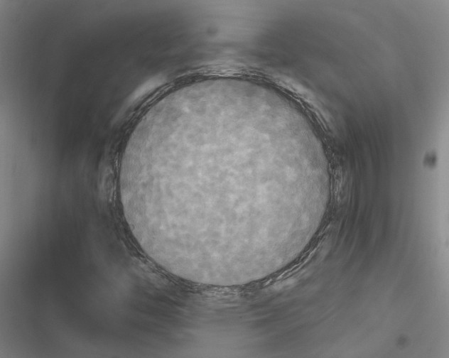 X0000116581446201001211255