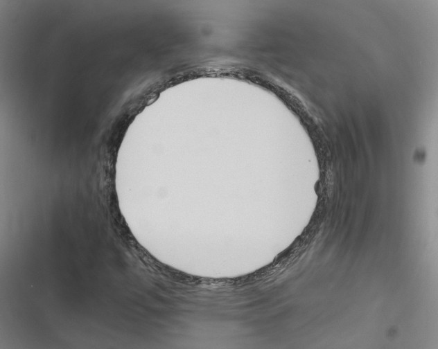 X0000116581447201001211254