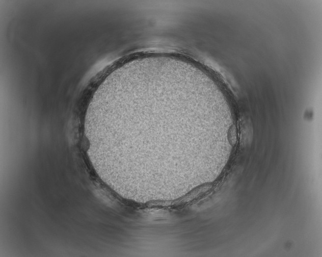 X0000116581448201001211254