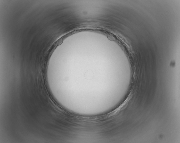 X0000116581449201001211254