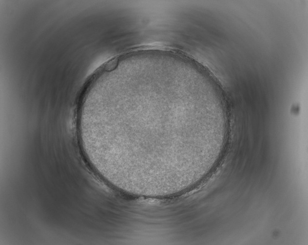 X0000116581450201001211254