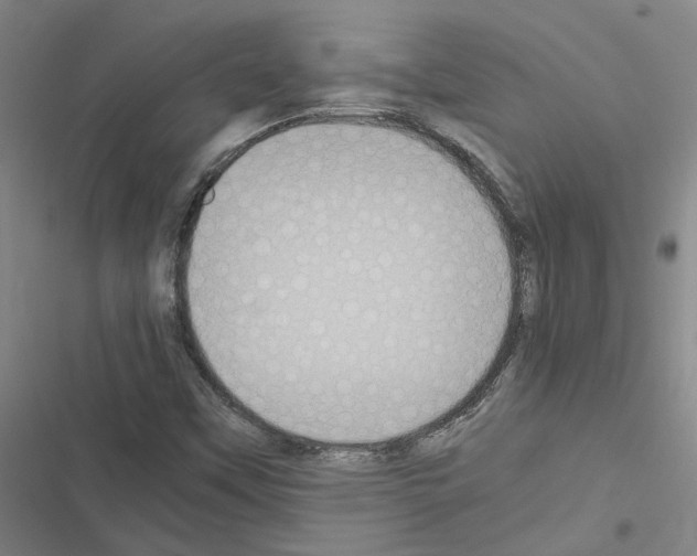 X0000116581451201001211254