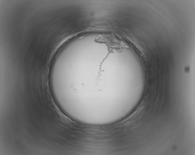 X0000116581452201001211254