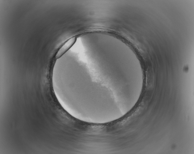 X0000116581453201001211254