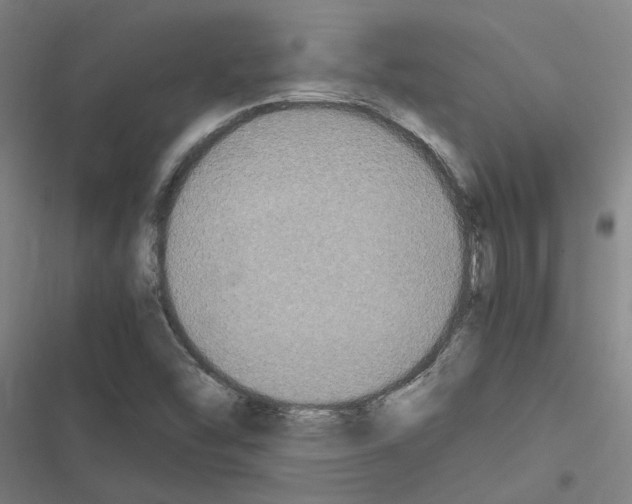 X0000116581454201001211254