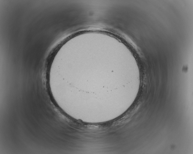 X0000116581456201001211254