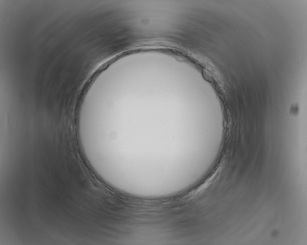 X0000116581457201001211254